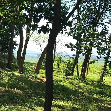 Kesa Fahaz Balatonlelle